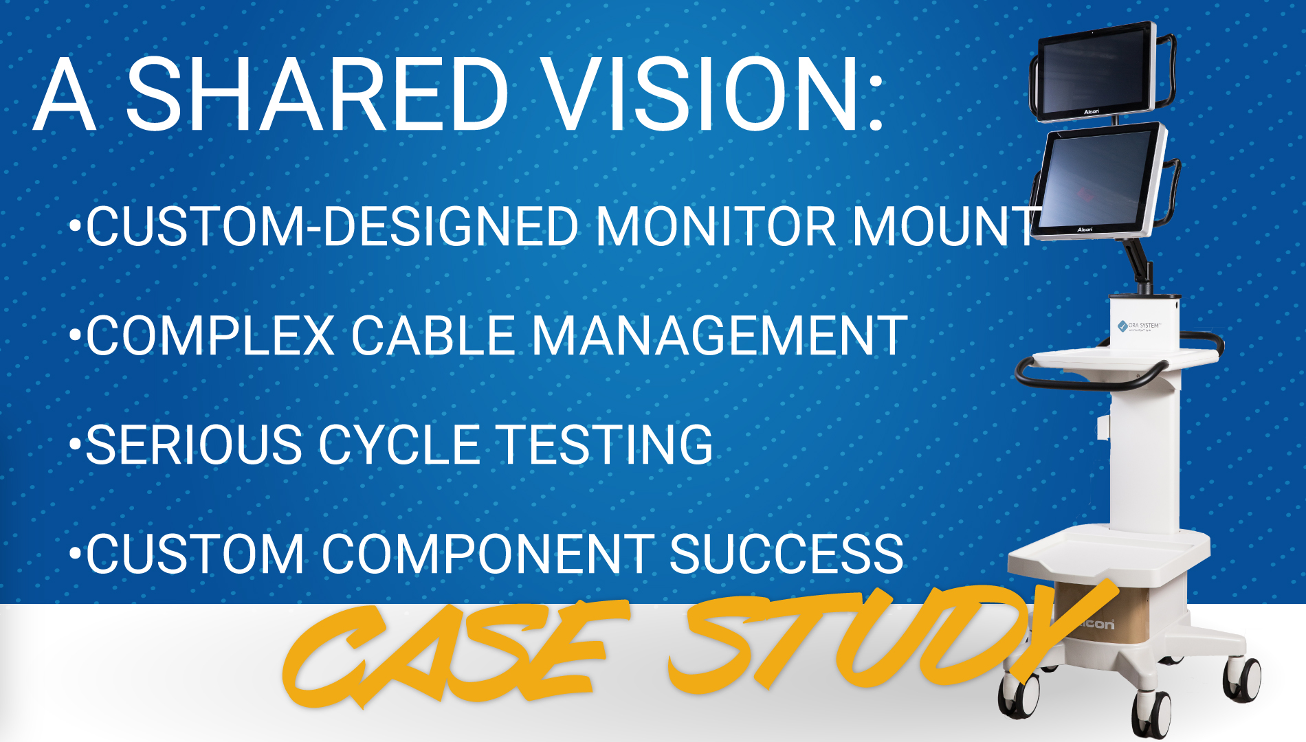 a shared vision case study