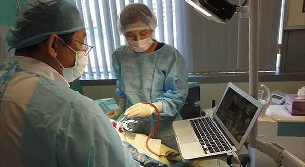 medical professionals performing a medical procedure